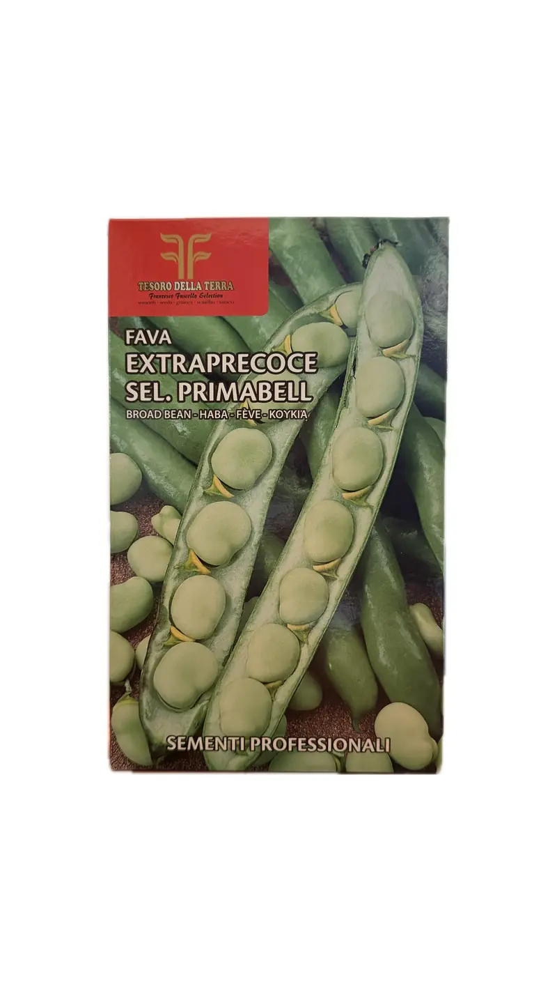 Fava Primabell