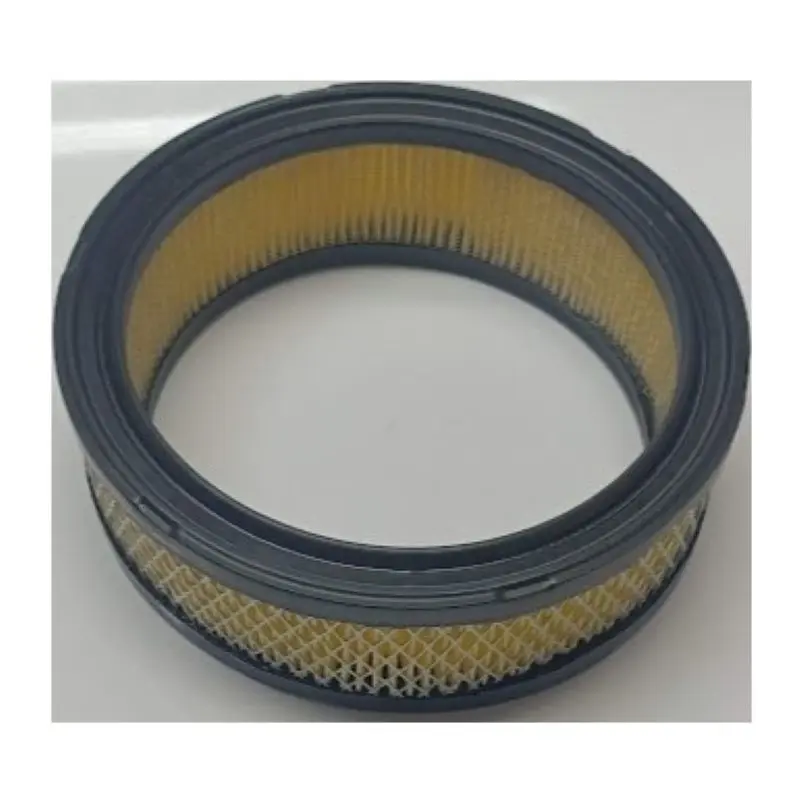 Filtro aria trattorino motore Briggs&Stratton