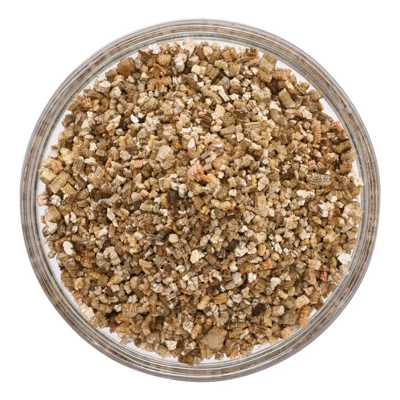 Vermiculite per piante